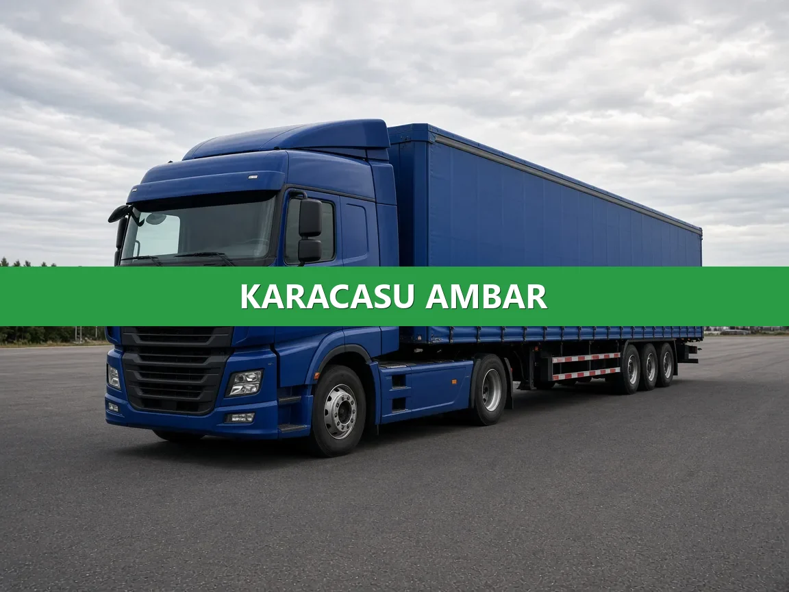 Karacasu Ambar